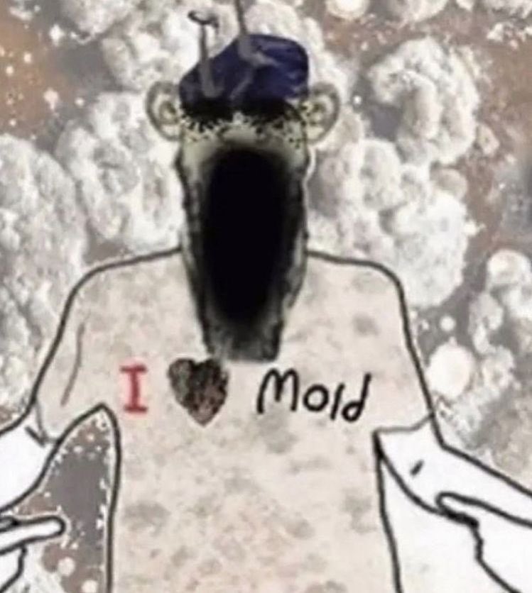 Moss🦌✨️ 🔜 FWA tweet media