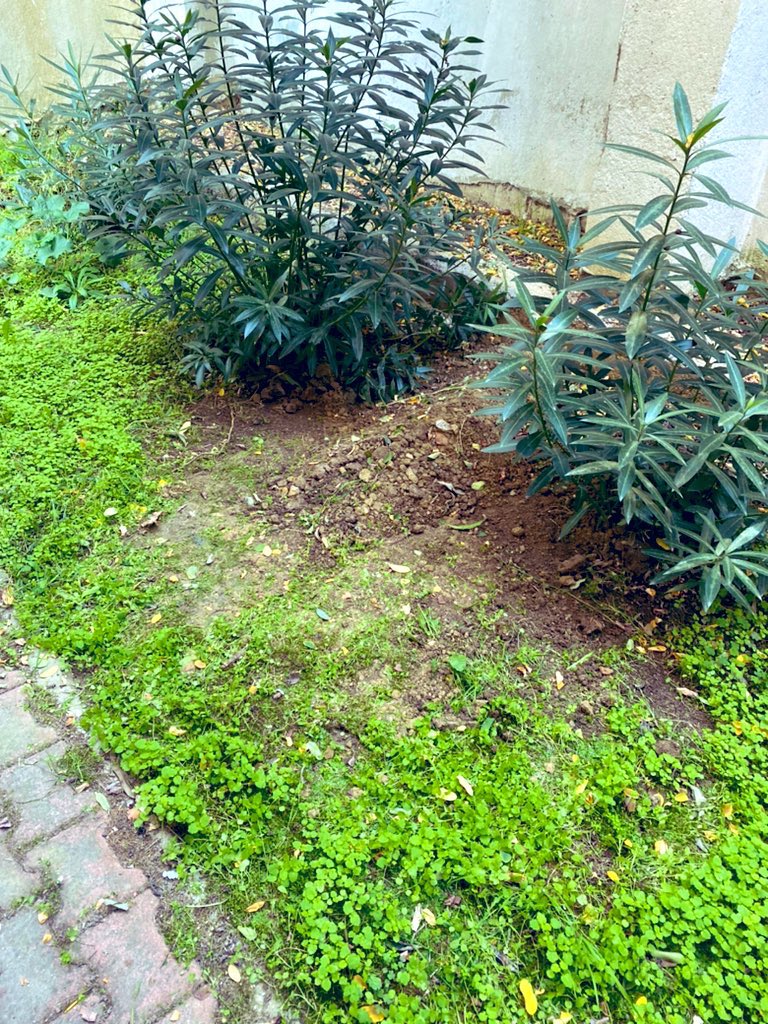 DE’Kİ “RABBİM! ŞEYTANLARIN
KIŞKIRTMALARINDAN
SANA SIĞINIRIM….
             (Mü’minun suresi/97)