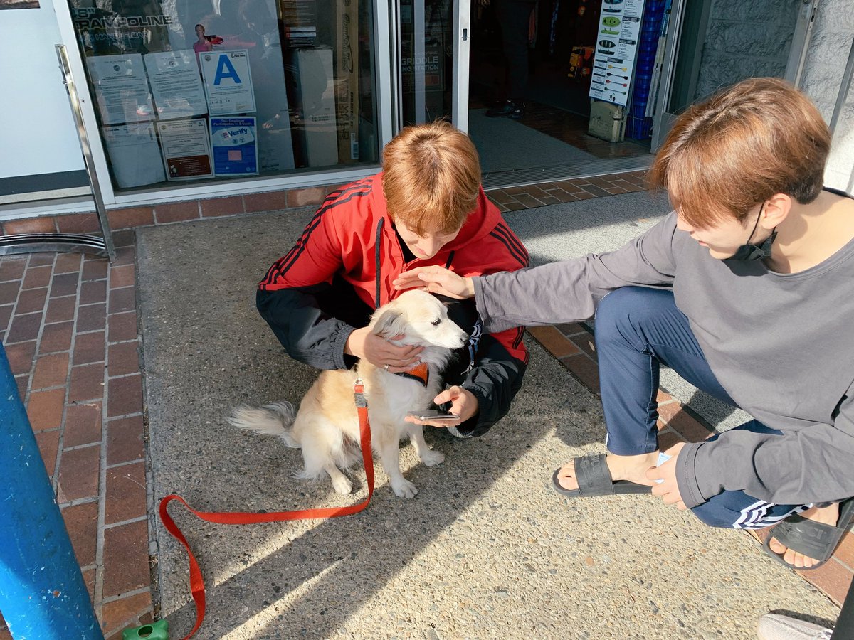 <a href="/pledis_17/">세븐틴(SEVENTEEN)</a> (3/3)

<a href="/pledis_17/">세븐틴(SEVENTEEN)</a> #SEVENTEEN #세븐틴 #DK #도겸