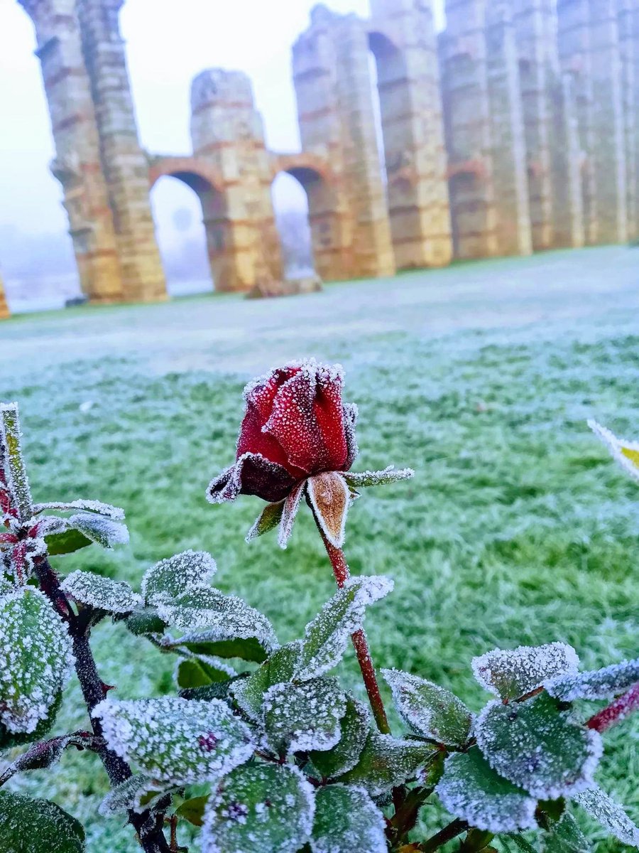 La mágica sensación de oir latir un corazón ❤️ de 105 años, rítmico y sin soplos... #AtenciónPrimaria #AtDom #MFyC