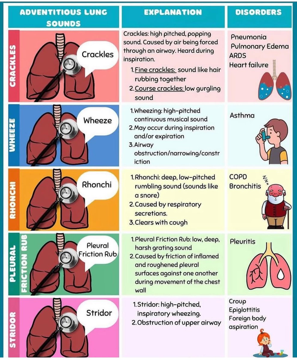 Lung Sounds 🫁

👀👀👀
#MedEd #MedX #Diagnosis #PulmoMed