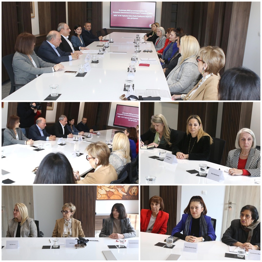 AKEL Genel Sekreteri Stefanos Stefanu başkanlığındaki AKEL heyeti bugün İki Toplumlu Kıbrıs Kadın Koalisyonu heyeti ile AKEL Genel Merkezi’nde bir araya geldi.