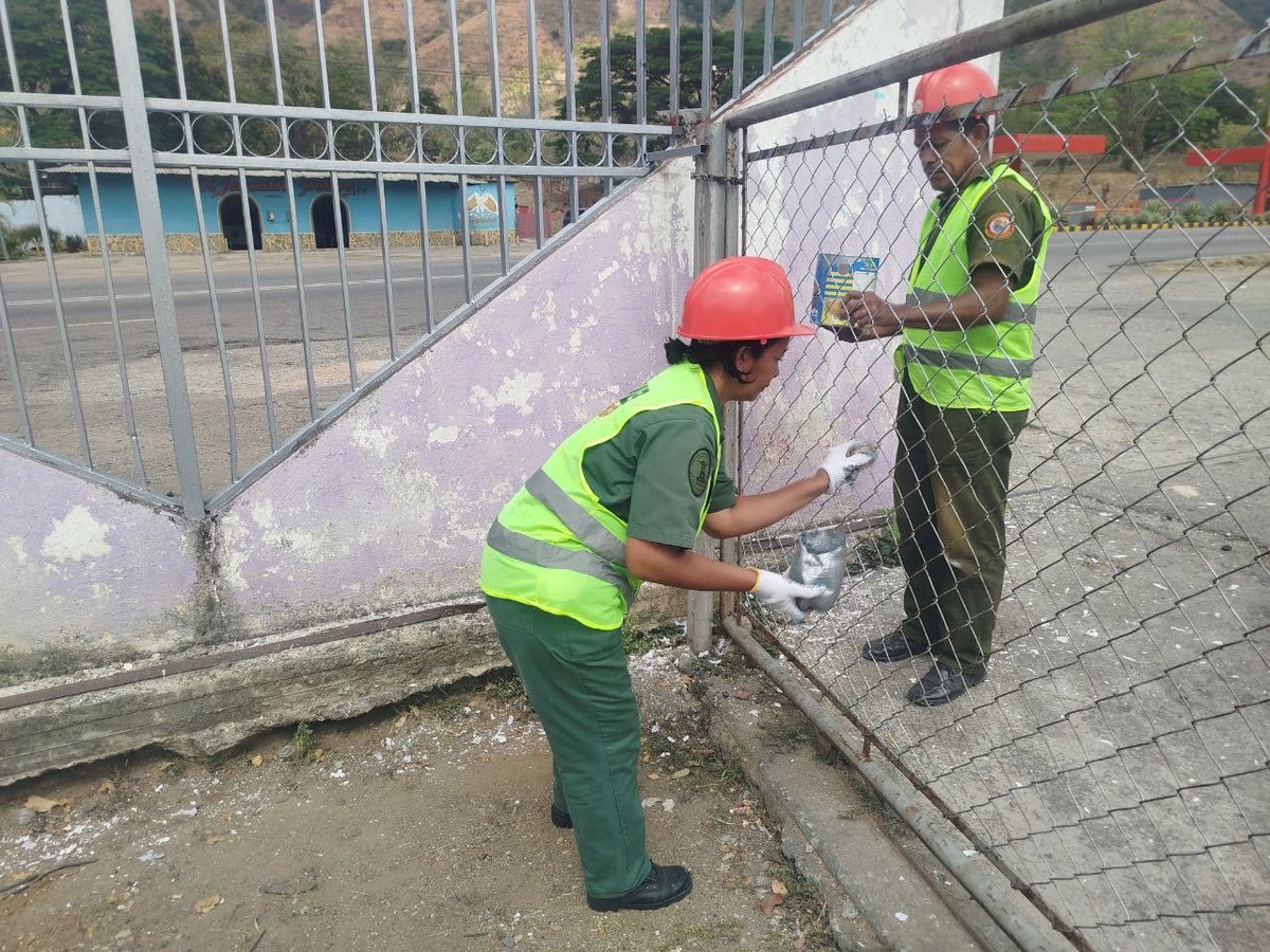 GJ. Domingo Hernández Lárez tweet media