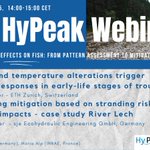 Photo by HyPeakNetwork (@hy_peak)