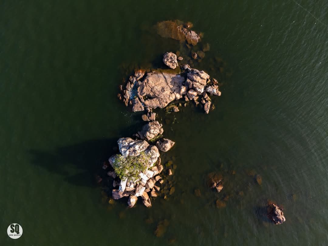 BangweuluTv's tweet photo. Solitude in the vast Lake Bangweulu in #Samfya: A lone tree stands resilient on Kabwe island, a monumental site where footprints of #Lucheleng'anga are fossilised on the rocks of this mini island. #lakebangweulu #visitsamfya
📸 Such Qckalez Photography https://t.co/AwMNcxwqYn
