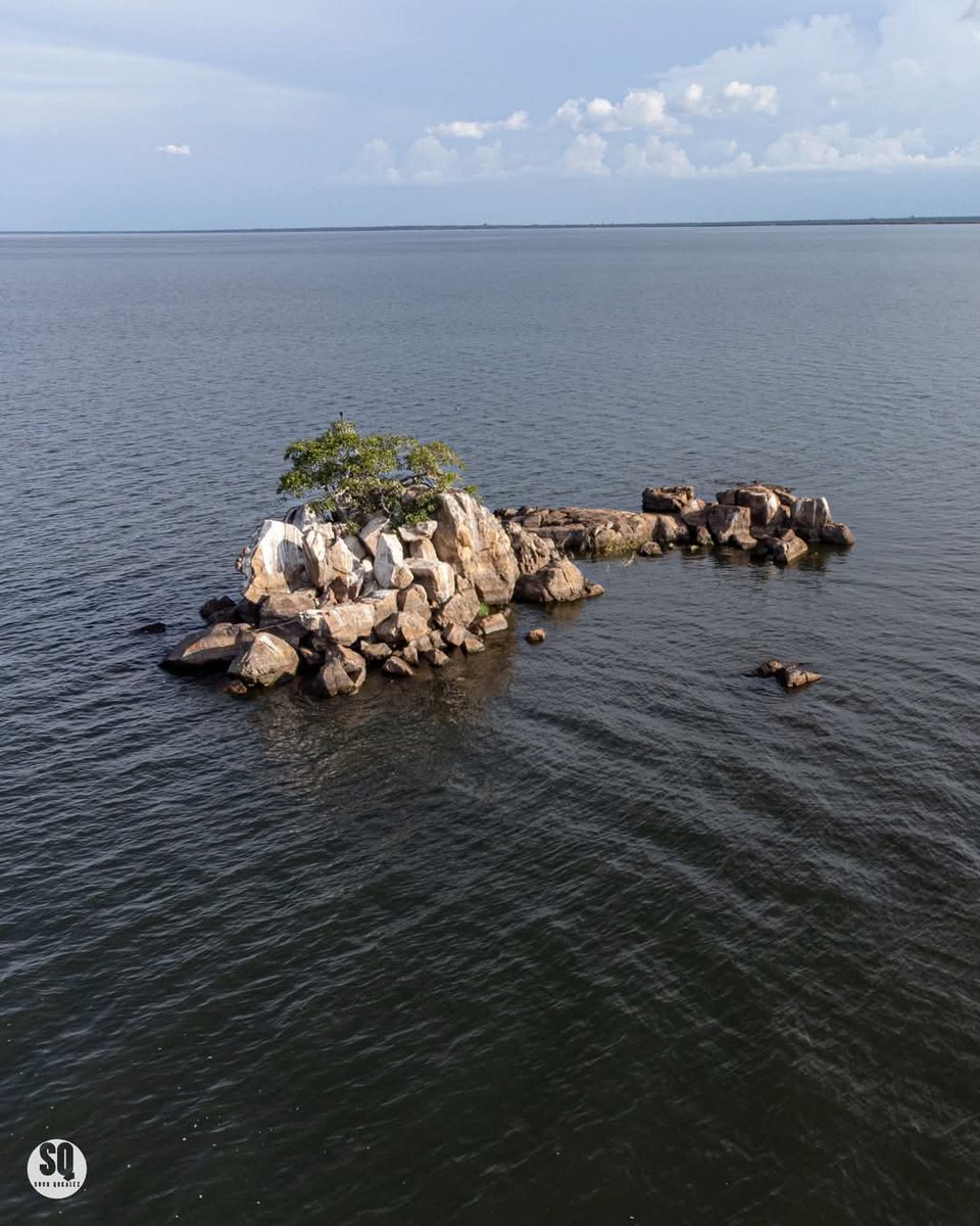 BangweuluTv's tweet photo. Solitude in the vast Lake Bangweulu in #Samfya: A lone tree stands resilient on Kabwe island, a monumental site where footprints of #Lucheleng'anga are fossilised on the rocks of this mini island. #lakebangweulu #visitsamfya
📸 Such Qckalez Photography https://t.co/AwMNcxwqYn