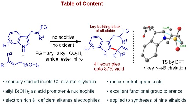 modhumaji's tweet photo. Synthesis of Tryptamine based Alkaloids was a long  journey at @msm_lab. Kudos to @gminakshi1  for her persistent and committed efforts in achieving 9 such alkaloids by developing a unique reverse allylation strategy @ChemShuv07 @ANRFIndia 
plz check:  https://t.co/BiTBAJC58J https://t.co/ICvs7Dk09T