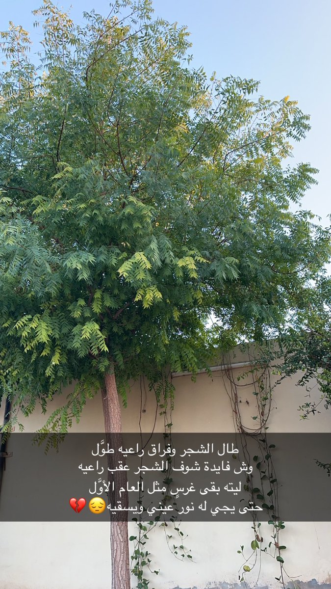 ksa0o03's tweet photo. https://t.co/YGJ9z4Wz7h