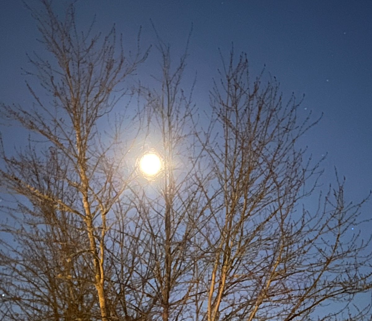 With the setting of the moon
it will arise upon you soon 
bestow upon your heart a grace
calmly glow upon your face

📸:taken early this morning