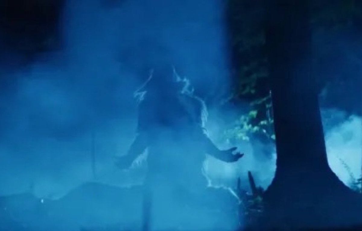 Did you know Shelley Duvall’s last film was a werewolf movie? The Forest Hills is now streaming or you can own it on DVD or Blu-Ray.

#WerewolfWednesday #Werewolf #famousmonsters #shelleyduvall