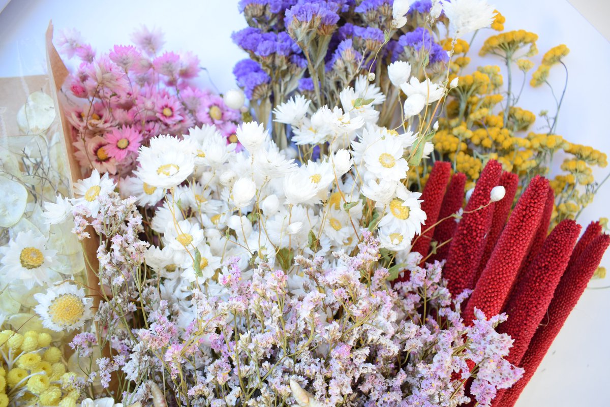 Big dried flower bunches delivery at daisyshop.co.uk/dried-flowers/…