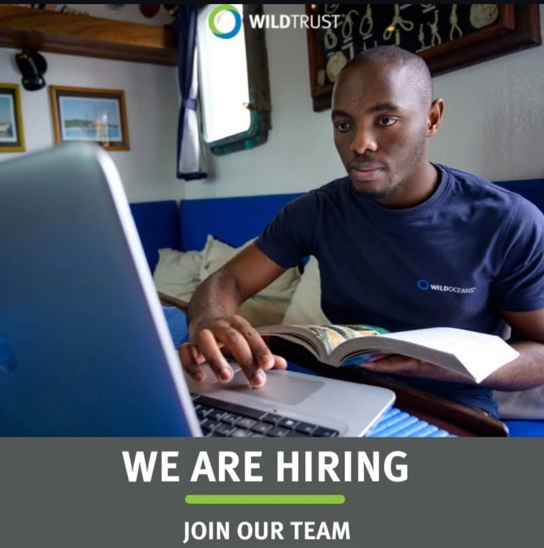 WildoceansSA tweet media