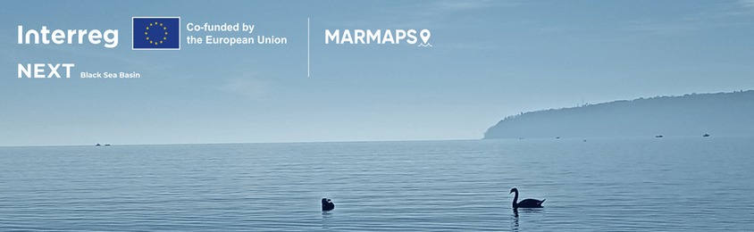 Biology AuTh tweet media