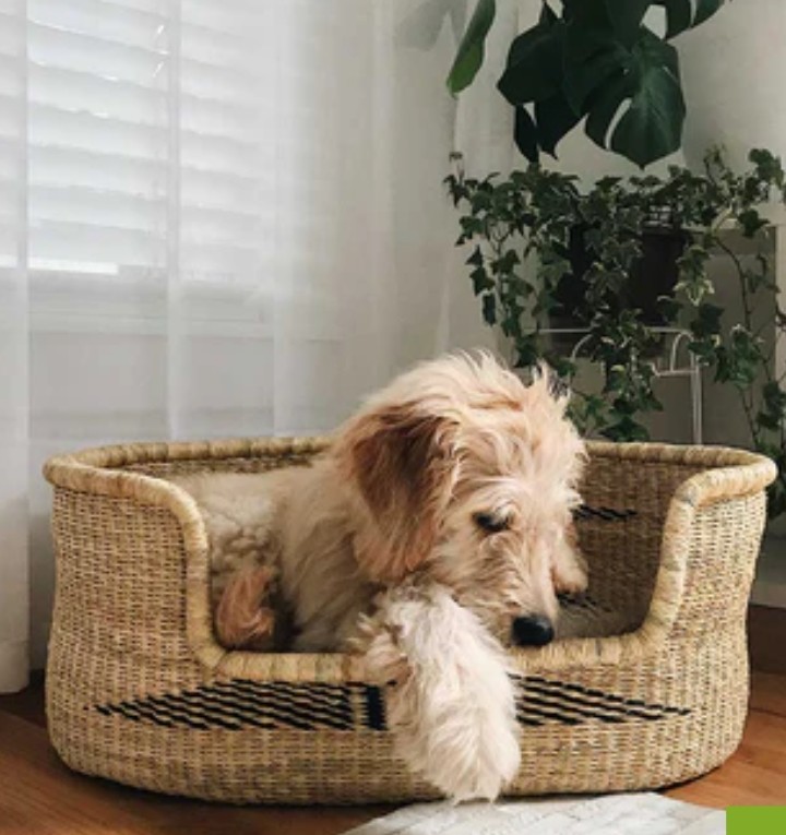 AfricaHand's tweet photo. @NlAnnemiek  get a good beautiful and naturally made bed for you pet https://t.co/lJof72FFLQ