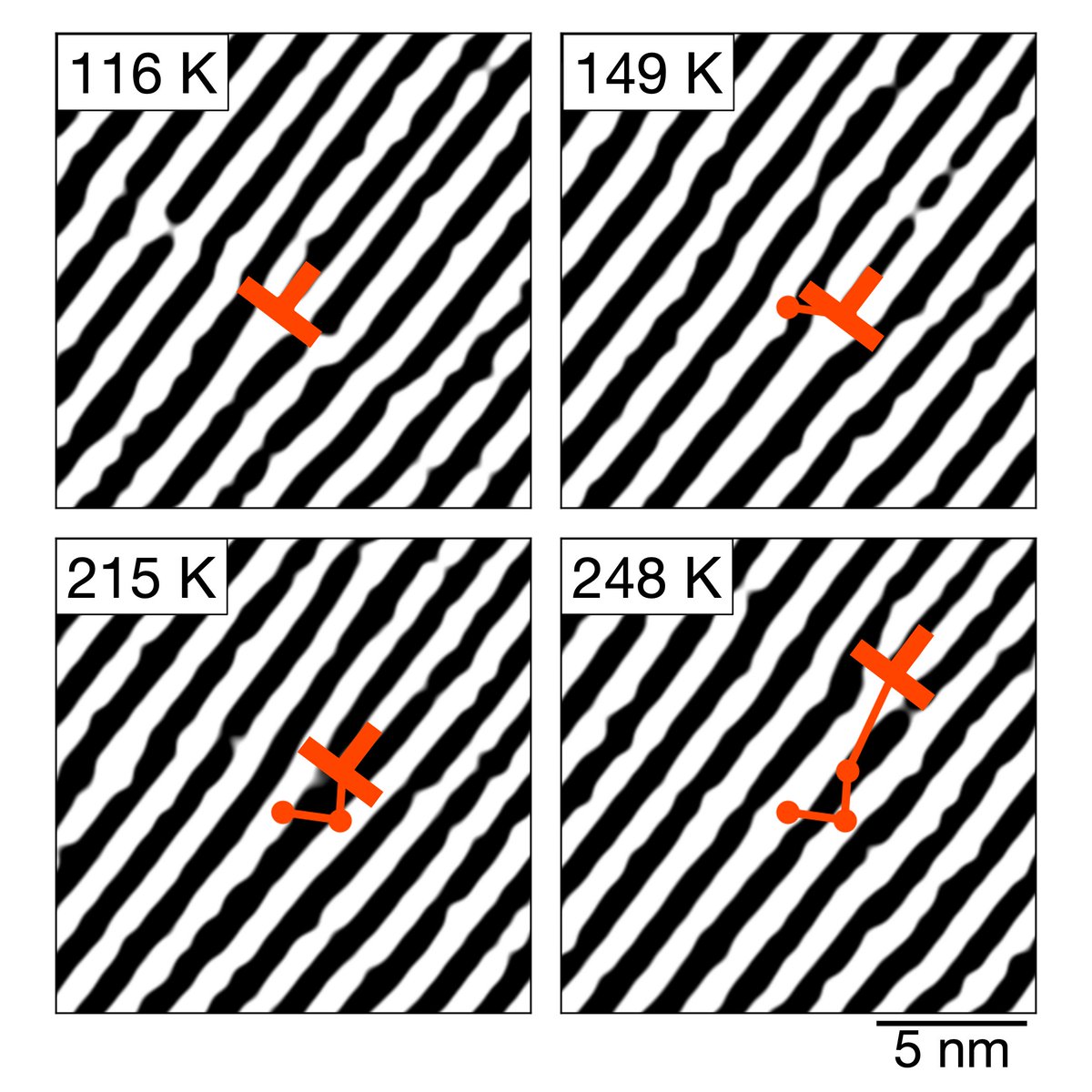 Using atomic resolution variable temperature cryogenic scanning transmission electron microscopy of a model manganite, researchers characterize the thermal evolution of charge order and reveal lattice responses as it transforms from its ground state.

🔗 go.aps.org/3WkLwO5