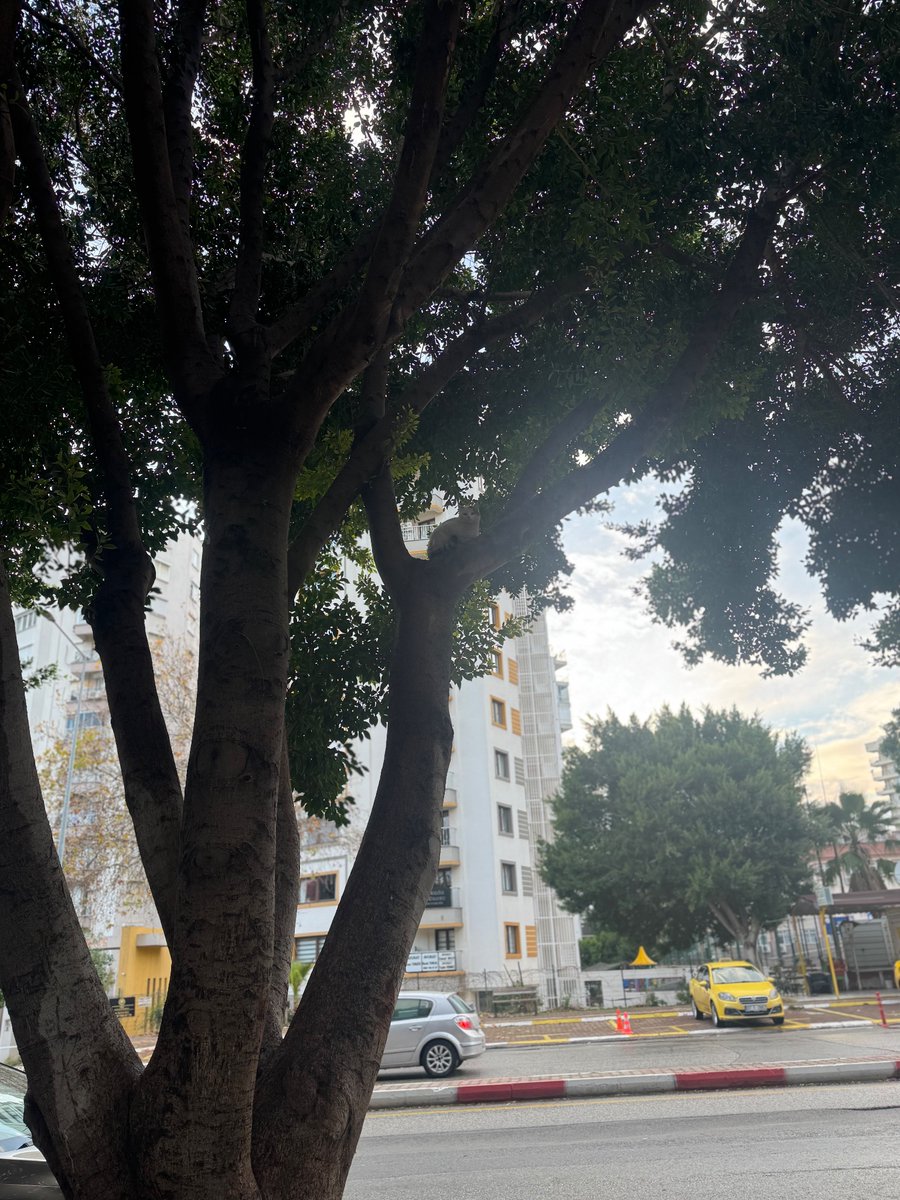 ceronot's tweet photo. Baykuş musun sen https://t.co/HZL2EKekT1