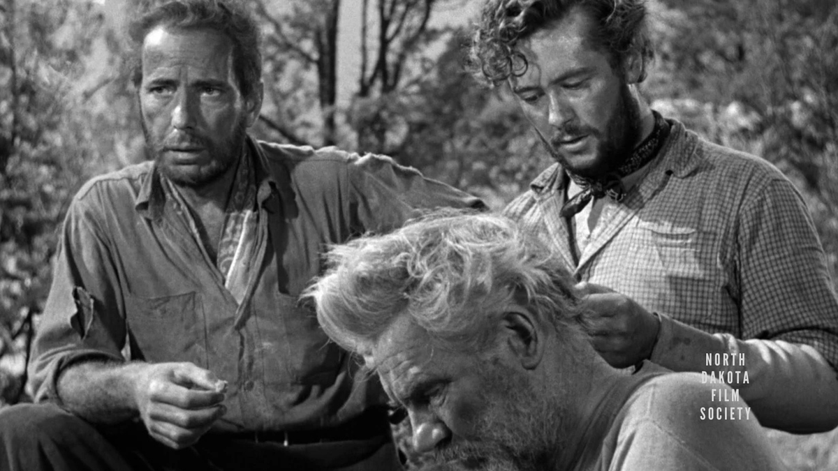 The Treasure of the Sierra Madre (1948)
Dir. John Huston

*Winner of the Academy Awards for Best Director, Best Supporting Actor (Walter Huston), Best Screenplay
*Nominated for the Academy Award for Best Picture
*Added to the National Film Registry, 1990