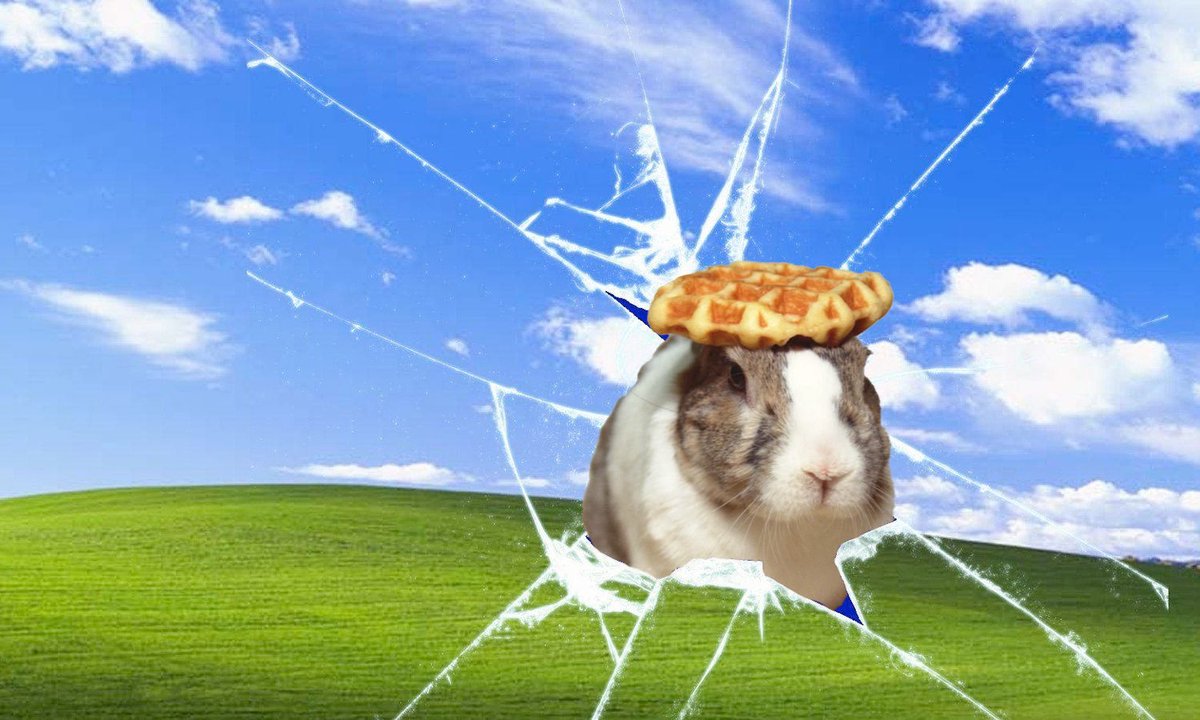 A fresh day brings fresh opportunities! 🌟 We’re thrilled to let you know our first community challenge is already in the works 🏆. Stay tuned—it’s going to be fun :D