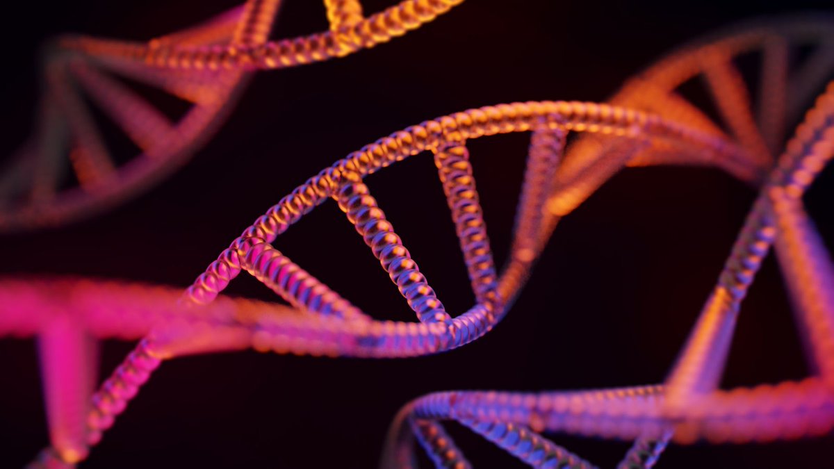 Barts Cancer Institute (Queen Mary) (@qmbci) on Twitter photo 📰 Some forms of DNA damage linger unrepaired in healthy cells for years, according to a <a href="/Nature/">nature</a> study led by Dr Mike Spencer Chapman <a href="/doctor_msc/">Mike Spencer Chapman</a> at BCI and <a href="/sangerinstitute/">Wellcome Sanger Institute</a>.
Read more👉 bit.ly/40wJX2f
The findings could inform our understanding of cancer development. 📰 Some forms of DNA damage linger unrepaired in healthy cells for years, according to a <a href="/Nature/">nature</a> study led by Dr Mike Spencer Chapman <a href="/doctor_msc/">Mike Spencer Chapman</a> at BCI and <a href="/sangerinstitute/">Wellcome Sanger Institute</a>.
Read more👉 bit.ly/40wJX2f
The findings could inform our understanding of cancer development.