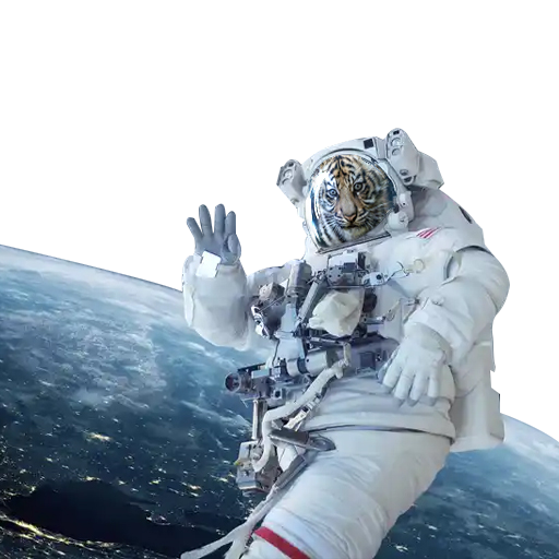 Barong_CTO's tweet photo. @elonmusk Barong to the moon soon!!! 🚀 https://t.co/IP8zb51Zz2