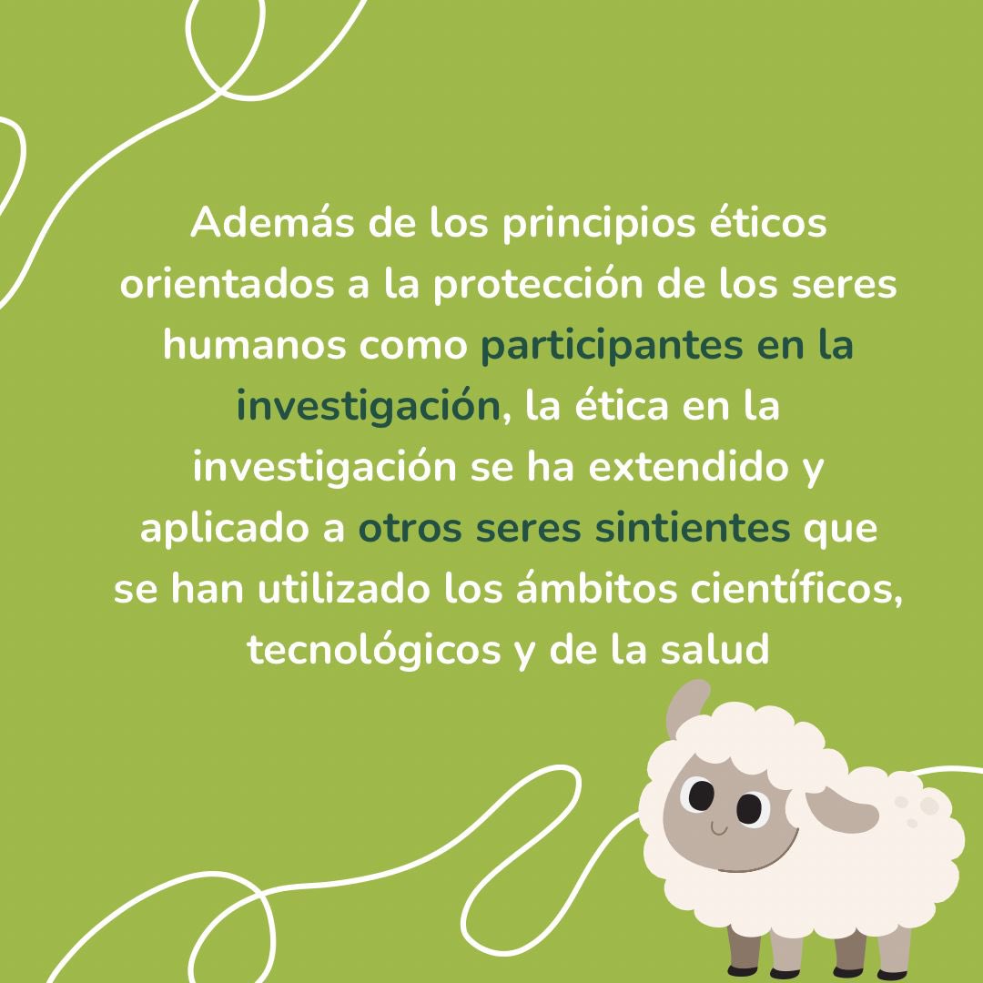 bioetsaderiij's tweet photo. ¿Ya te inscribiste a nuestro diplomado?
¡No pierdas la oportunidad!
#UNAM #Salud #Derecho #Bioetica #Bioderecho #Animales #Diplomado https://t.co/sloNsrpTJD