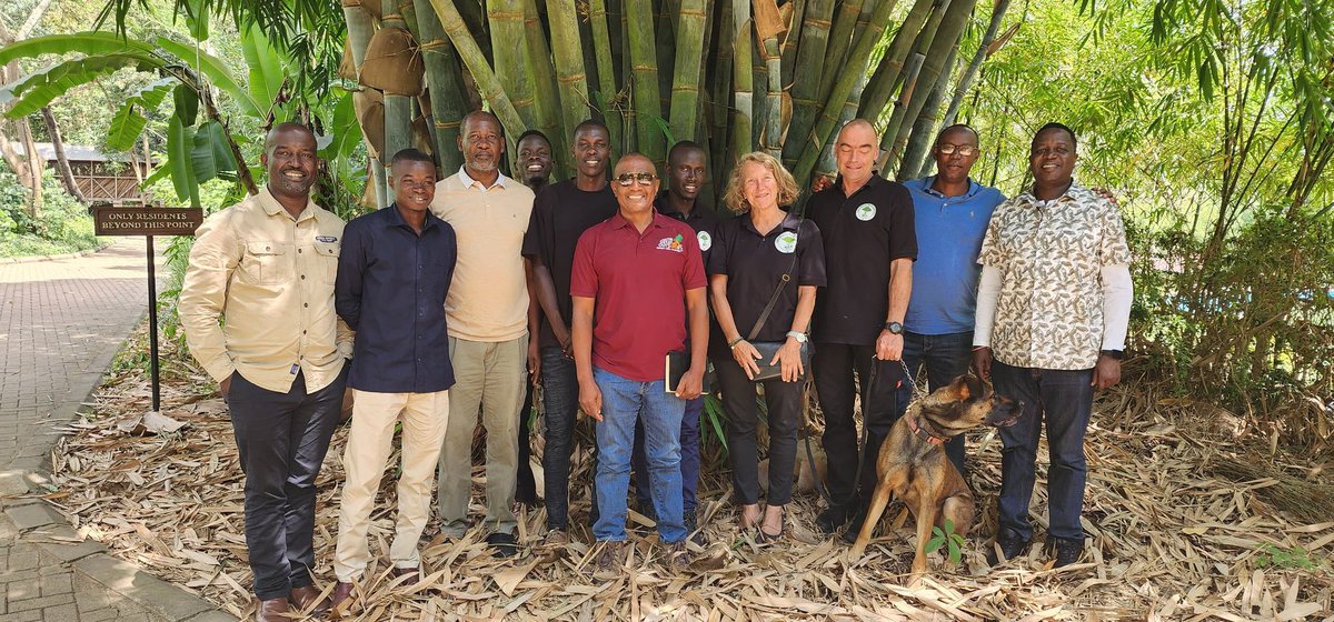 Bamboo Uganda tweet media