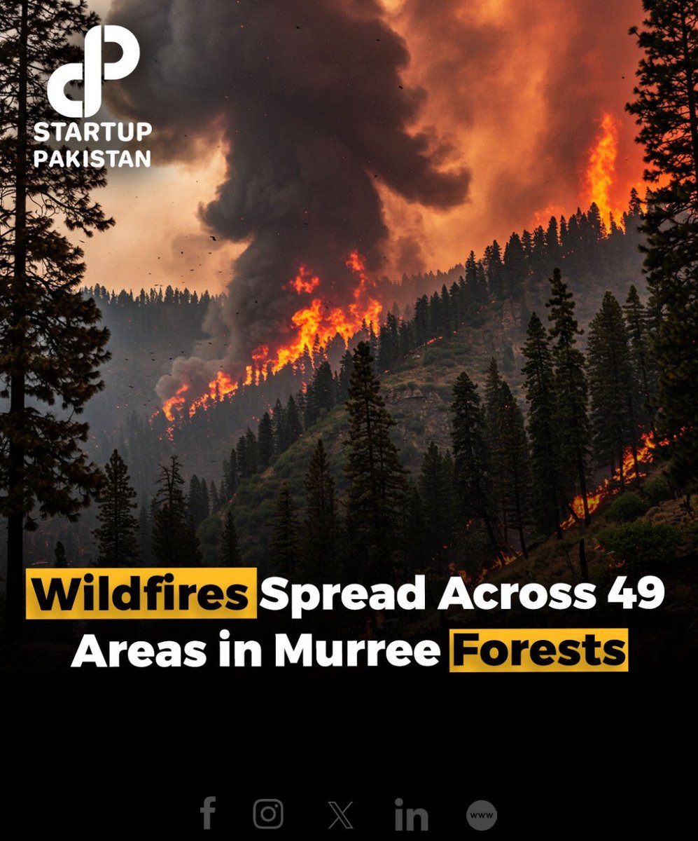PakStartup's tweet photo. Wildfires have severely affected three forests in Murree—Ghoda Gali, PP-1, and Samli ranges.
#Wildfires #Murree #EnvironmentalDamage #Forests #FirefightingEfforts #ForestConservation https://t.co/PWGEb2uNe7