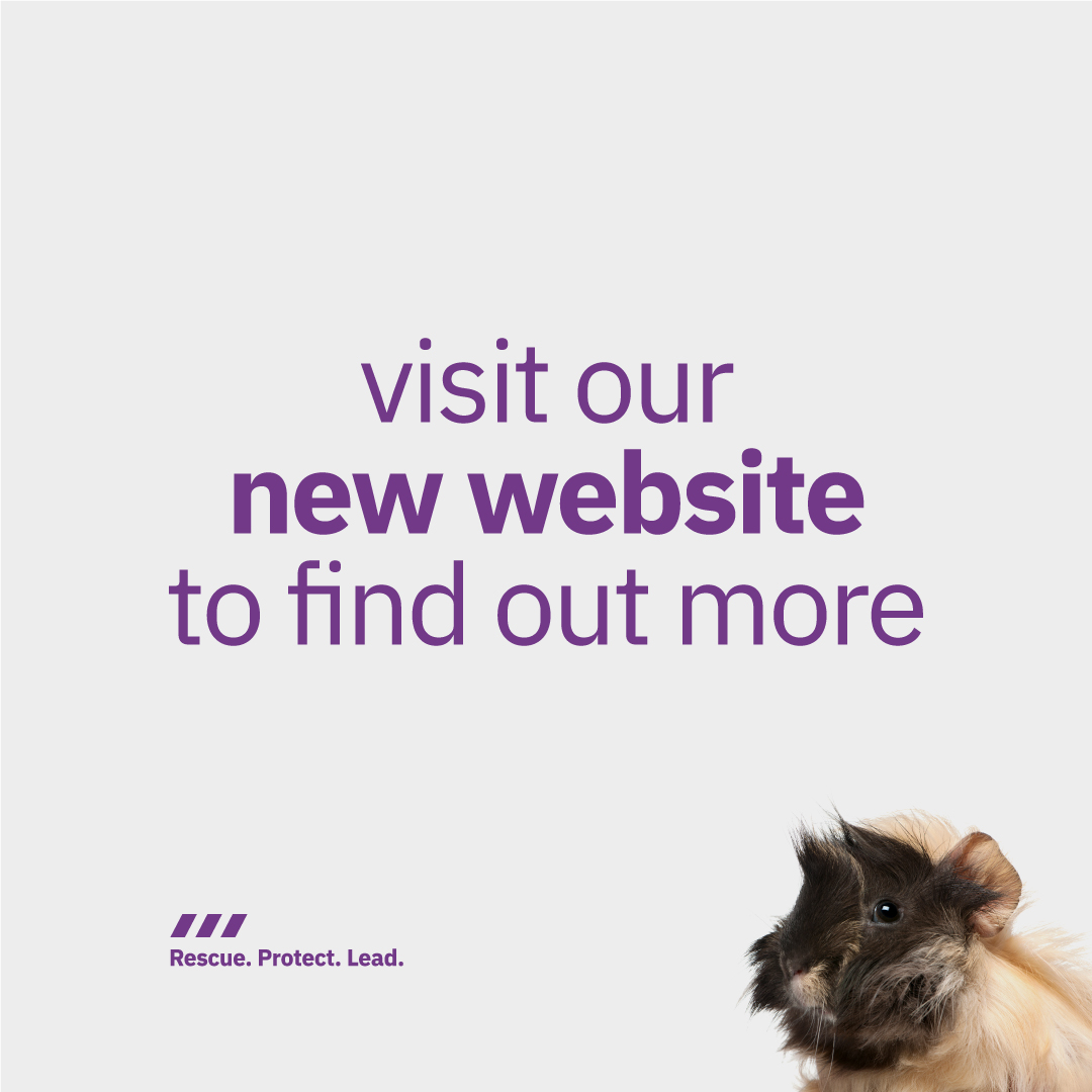 Scottish SPCA 🐾 tweet media