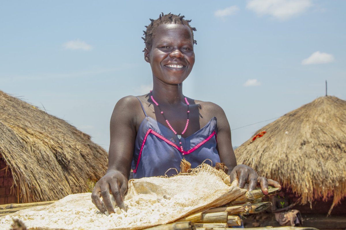 viceversa_gh's tweet photo. Meet Alfred Andima – A blind street beggar turned successful farmer from Uganda! 

👏🏾 From overcoming disability stereotypes to cultivating 3+ acres of cassava, his story inspires hope & change. 🌱 Read how he’s transforming his community: 
👉 Full story here: https://t.co/TmtFO3e3xo

@ViceVersaNL @vversaglobal @ViceVersaUganda @Globalviceversa @kwadwosheldon @wode_maya @WhatsTrending 
 #Inspiration #Farmers #DisabilityInclusion #AgricultureSuccess #InclusiveGrowth #Empowerment #FoodSecurity #innovationtoimpact #LeadershipInAction