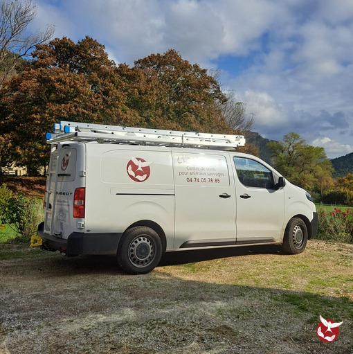 Fondation Brigitte Bardot tweet media