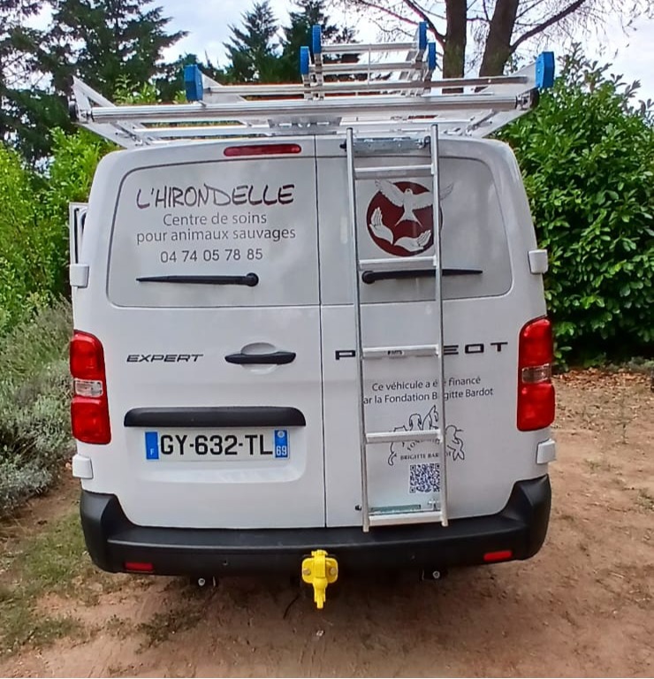 Fondation Brigitte Bardot tweet media