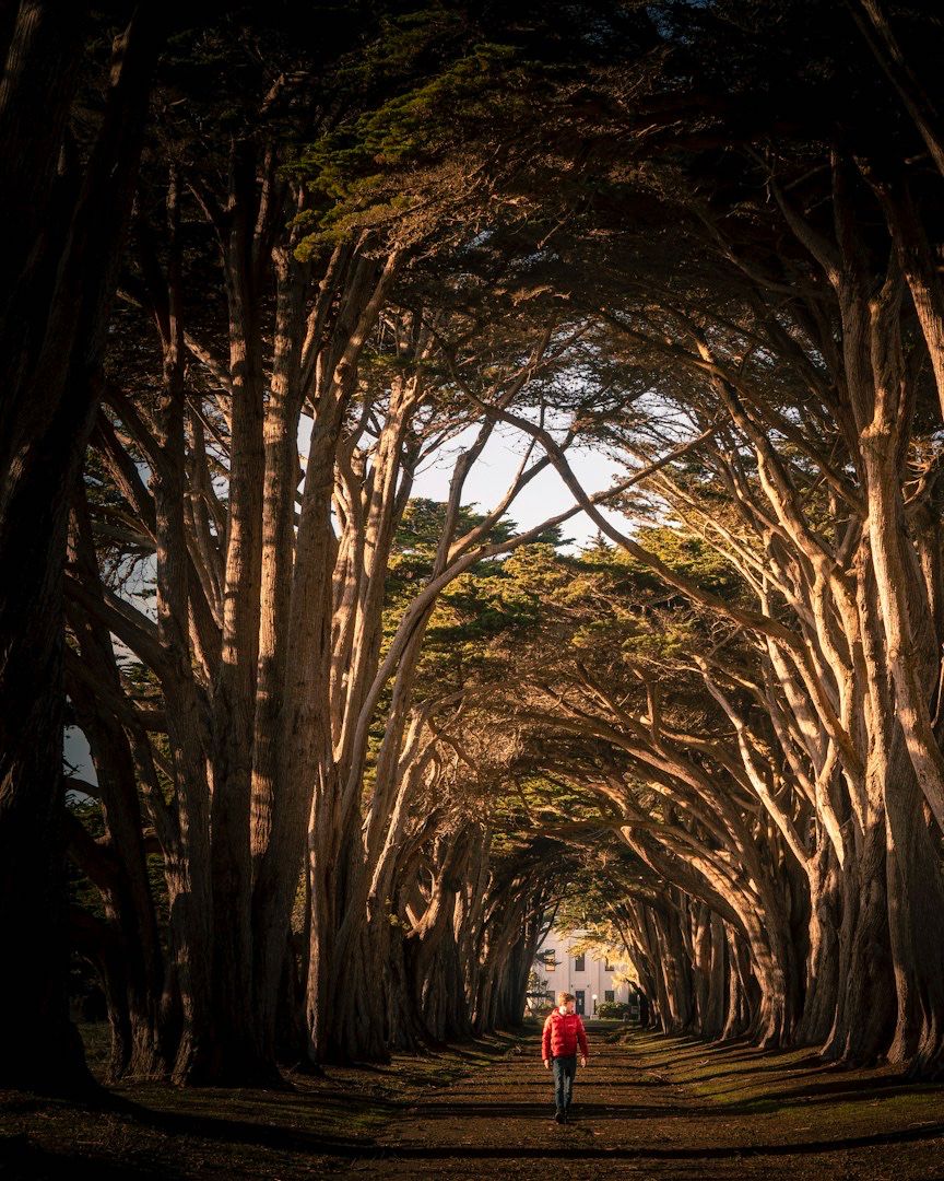 theopioidspoonproject tweet media