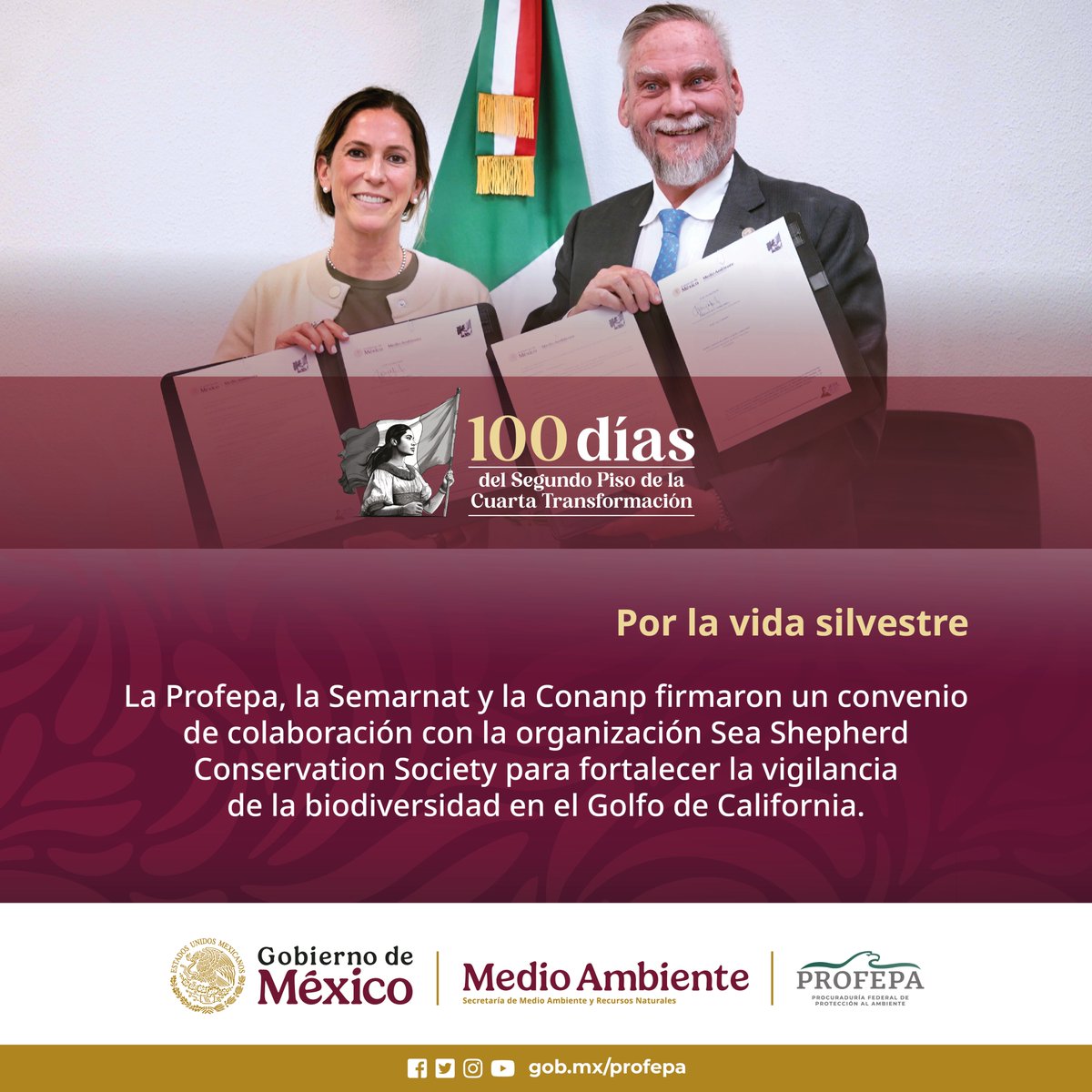 PROFEPA_Mx's tweet photo. 🟢 Sector ambiental federal firmó convenio para preservar la biodiversidad marina 🐳🐢 y fortalecer la vigilancia de los ecosistemas en el Golfo de California. 🌊💧⛴️
#100DíasProfepa
#100DíasGobierno 
@SEMARNAT_mx @SeaShepherdSSCS @CONANP_mx https://t.co/cP0CkQyADh