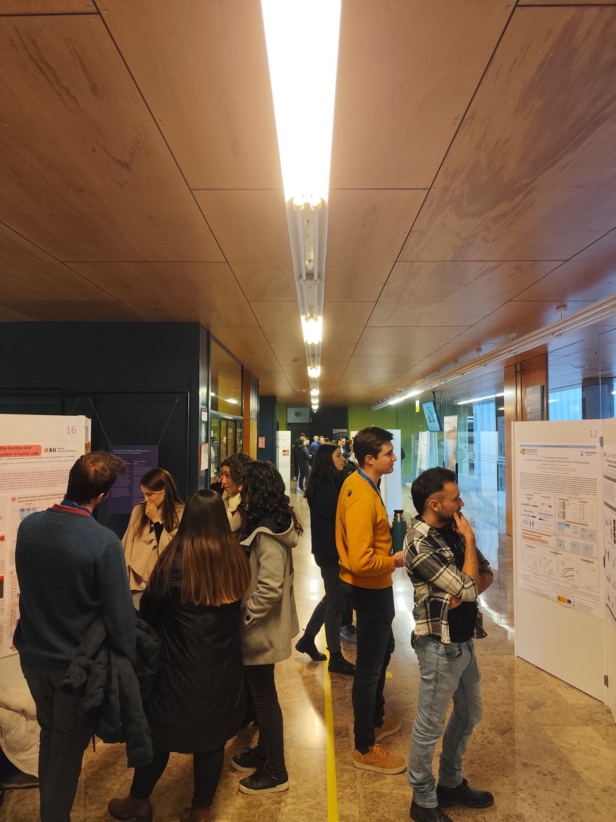 El rumor de las conversaciones científicas inunda el hall del BIFI en esta sesión de posters del #bifi2025!

<a href="/CerTestBiotec/">CerTest Biotec, S.L.</a> <a href="/Kampal_DS/">Kampal_DS</a> #exobiopharma <a href="/unizar/">Universidad Zaragoza</a>
