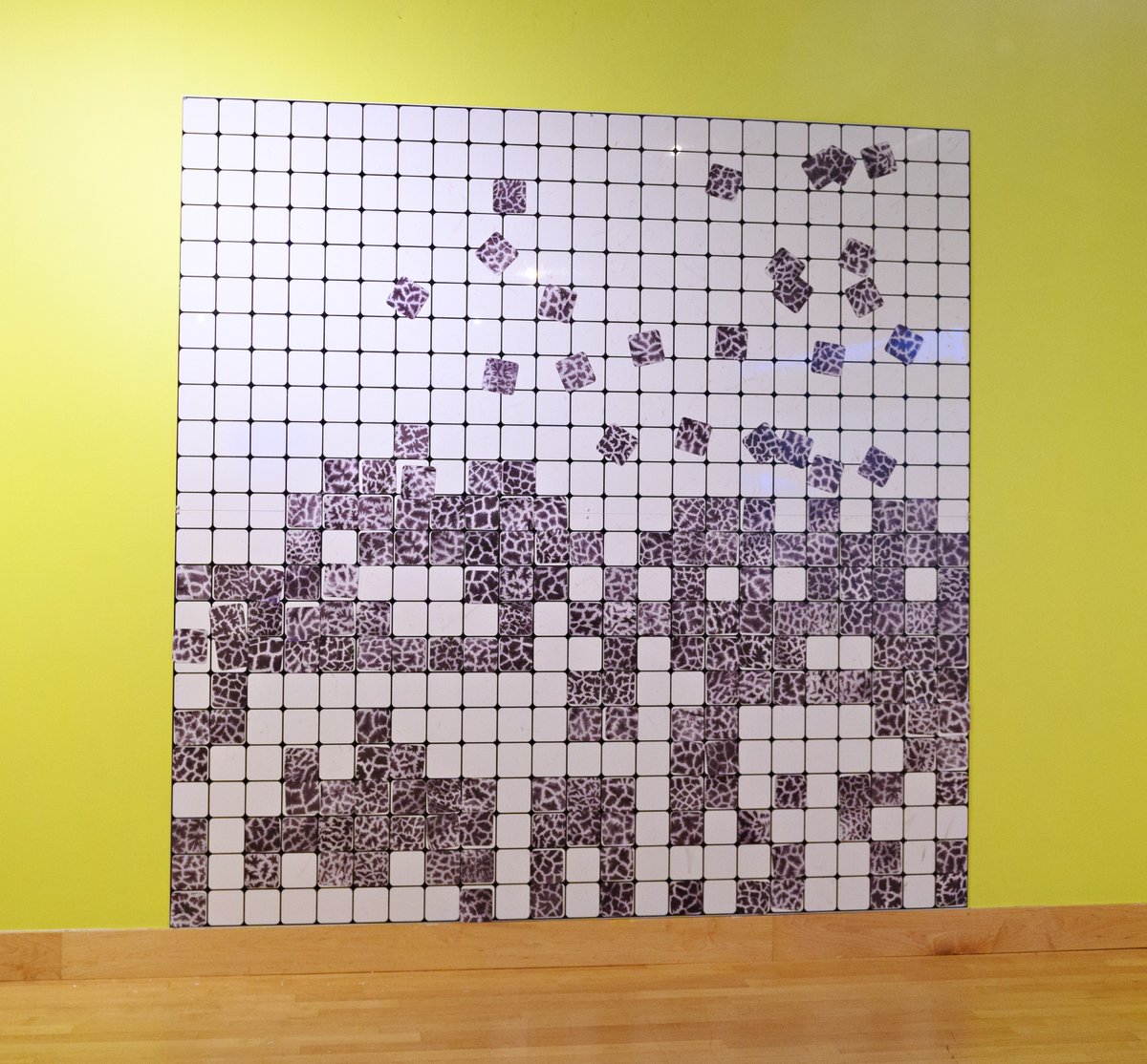 🌟 EXTENDED! 🌟 until April 2025, SPOT THE SPOTS  at THE MUSEUM in Kitchener, Ontario, Canada! 🦒✨If you happen to be there, take a chance and visit.

#Giraffe 🦒 #Giraffes #ArtAndScience 🎨🧬 #Biodiversity 🌿🌎 #Preservation 💡💖
📸© Chris Kufske