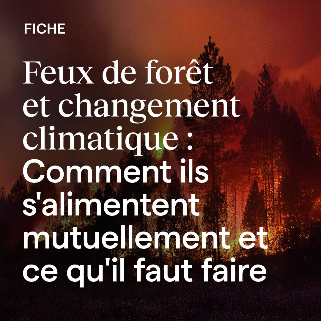 🔥 L'inaction a un coût. Nous sommes tous vulnérables aux conséquences des feux de forêt, qu'ils soient proches ou lointains.
➡️ bit.ly/3WinHH0