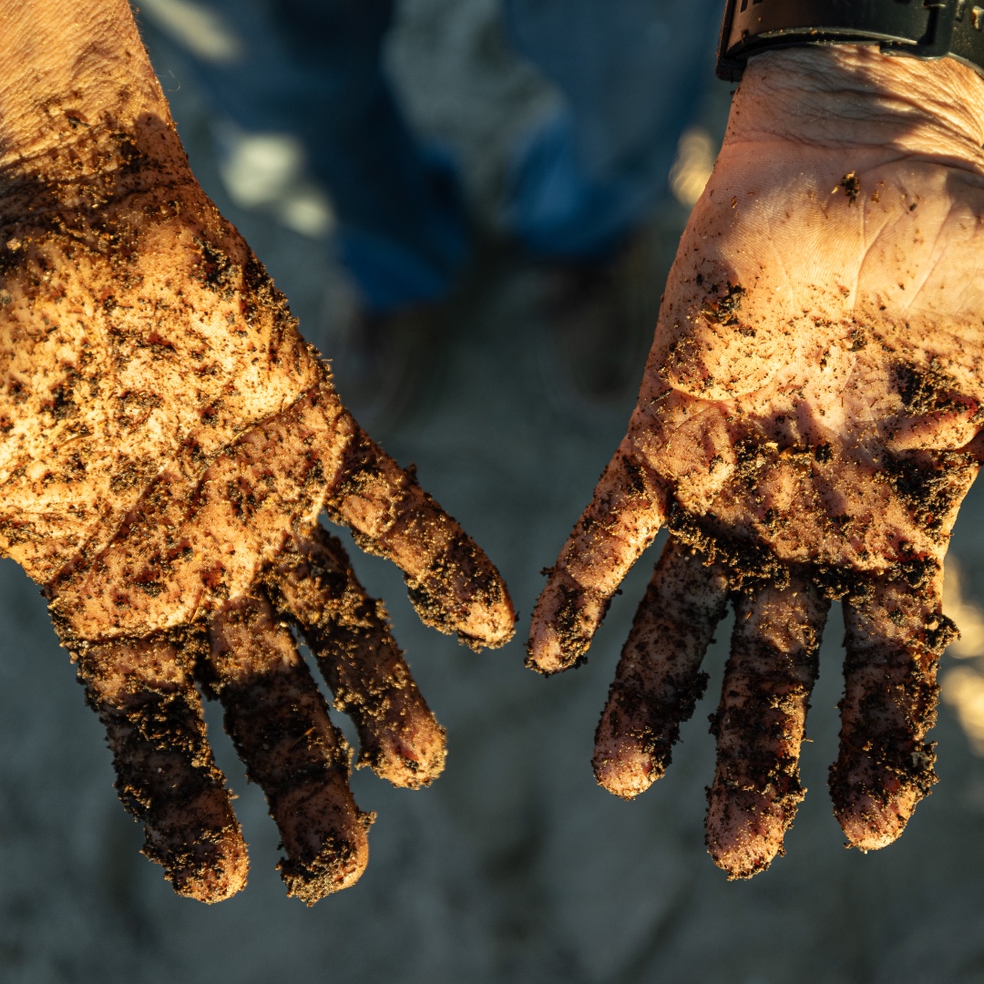 1MISSION tweet media