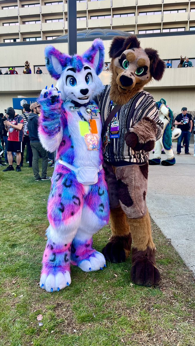 A cat and a doggo getting along?! Is this pawsible?!? 

🐱 <a href="/Astra_The_Kitty/">Astra</a> 
🪡 <a href="/KeryuOkami/">Kend0@waterdogwharf.com (🟦☁️)</a> 
📍 Chicago, Illinois