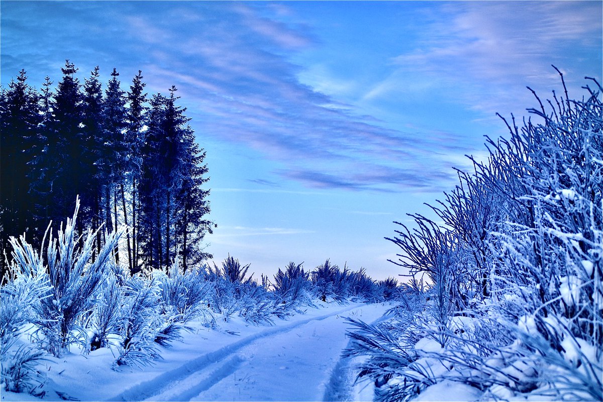 Every season has different beauties in store for us❄️

#NaturePhotography #NatureBeauty #naturistfamily #NaturistLifestyle #NaturalSelection #naturelovers #Pictureoftheday #picutre ❄️