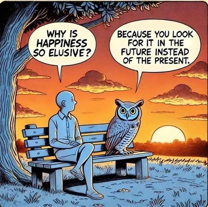 explore_limits's tweet image. Focus on present