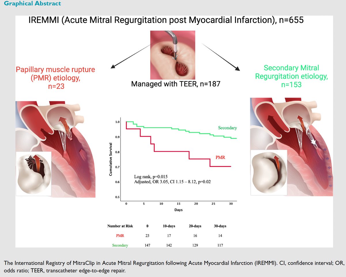 In our IREMMI registry (post-AMI significant MR), we found high procedural success (~90%) with acute M-TEER for both PMR and SMR. However, clinical outcomes were worse with PMR. Still, M-TEER may serve as a bridge or salvage therapy for post-AMI MR.

bit.ly/4jfF4Sy