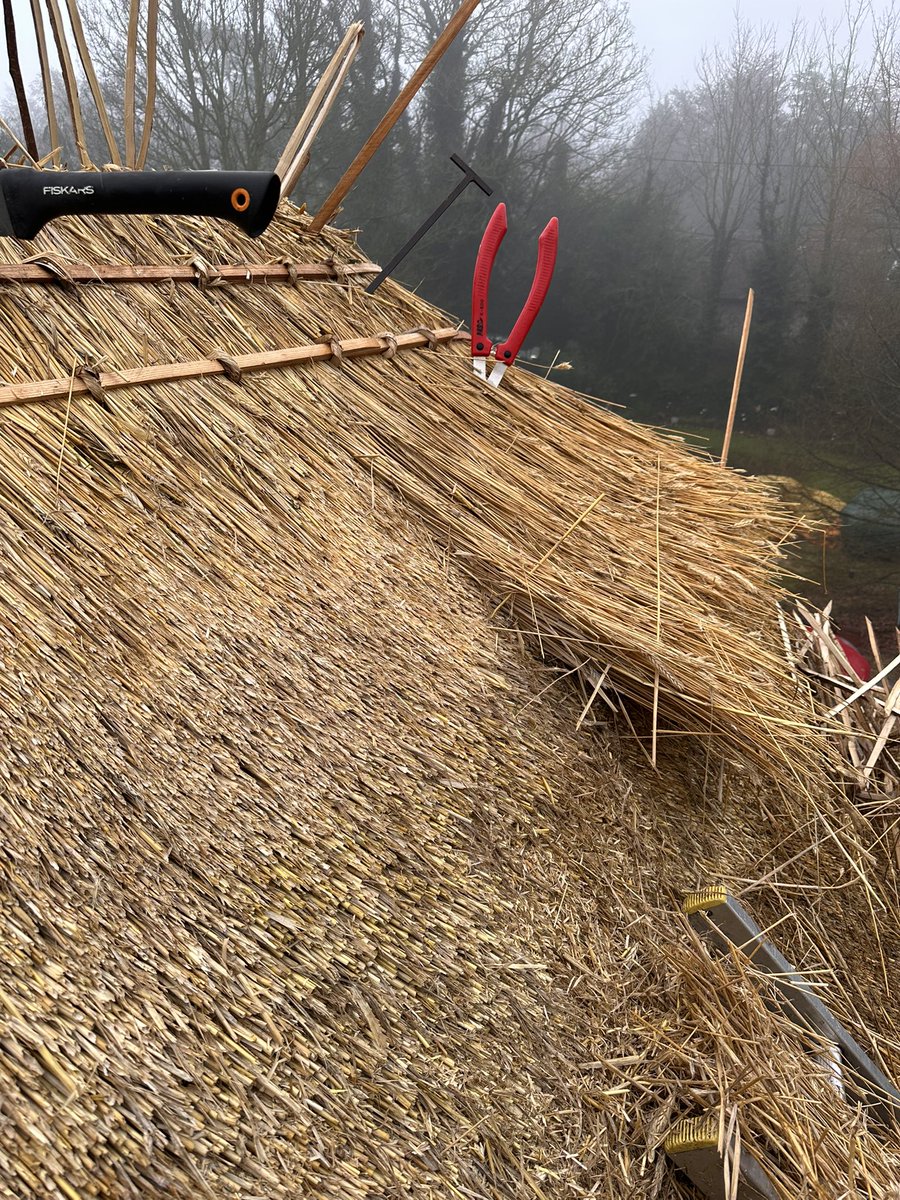 Mark Padfield tweet media