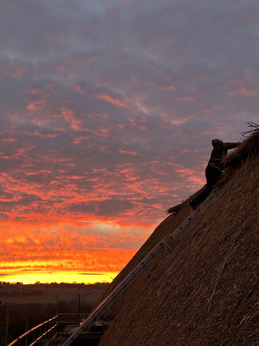 Mark Padfield tweet media