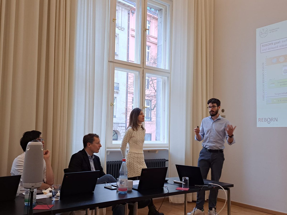 Reborn Project tweet media