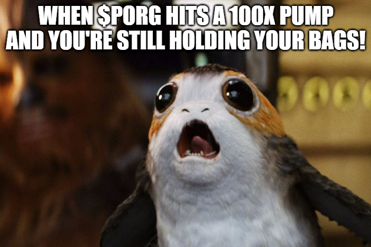 PorgOnSol's tweet photo. Our reaction soon... WHEN $PORG SENDS! 🚀  #Solana #MemeCoin #Crypto https://t.co/R4ot69LoDG