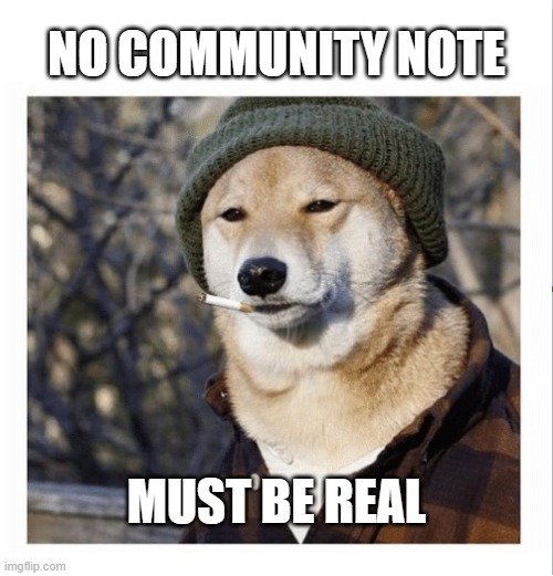 Project 100001.4 tweet media