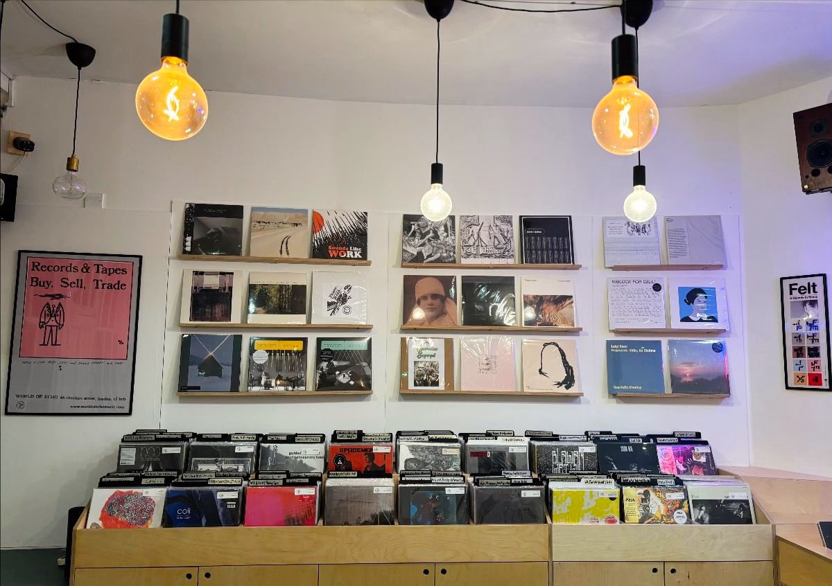 World of Echo tweet media