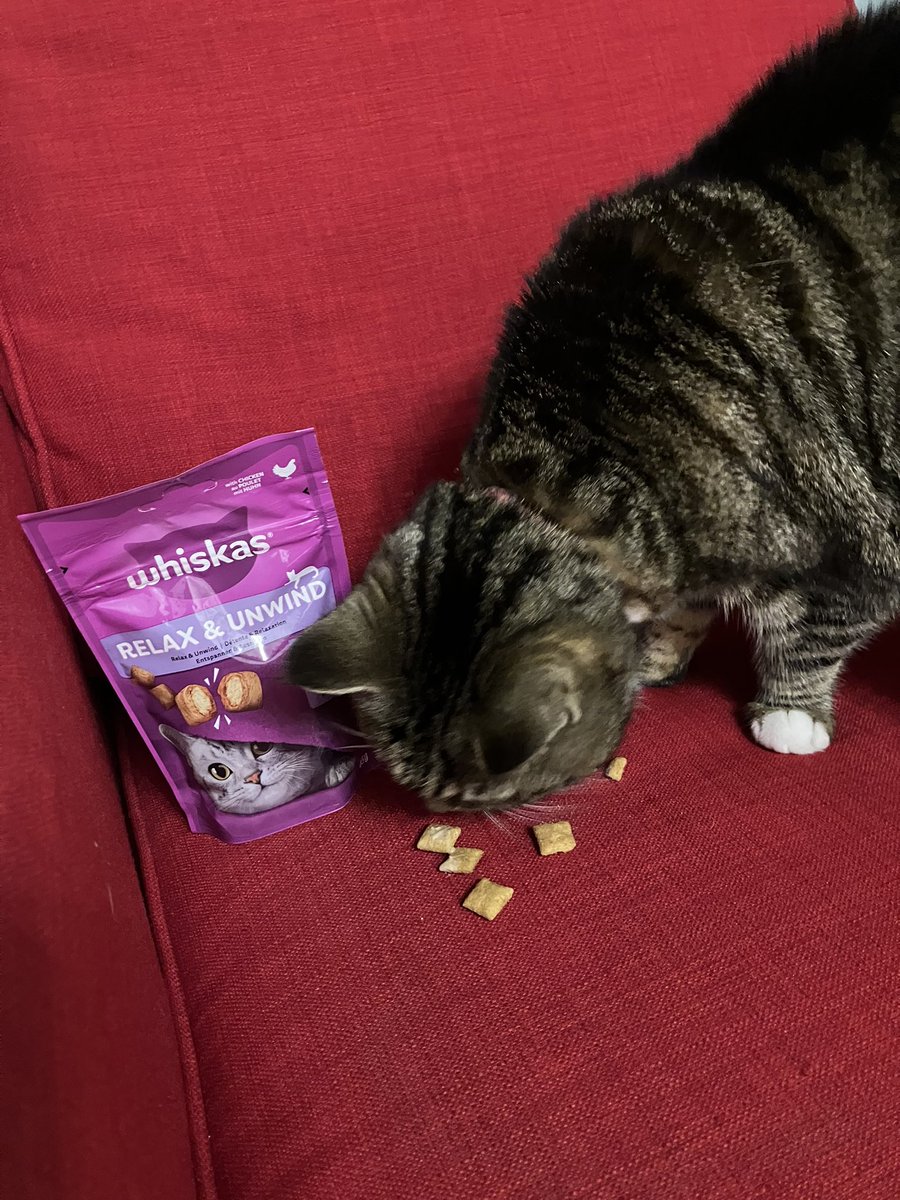 MiningLibrarian's tweet photo. Yet again my #Triyit box was actually for Tessa the cat…. But at least she appreciated the @whiskas_uk treats inside so thanks #TryWHISKAS, she loves being #Gifted goodies. https://t.co/srJLNYpK8L