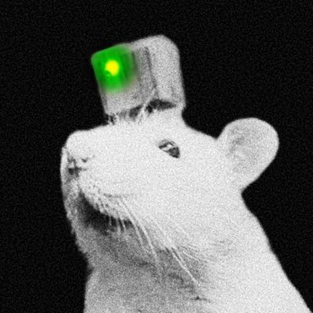 Imagine a world where AI meets neuroscience, and guess what? It's not science fiction anymore!

$PYTHIA from <a href="/neirylab/">NEIRY</a> isn't just another token; it's the future of decentralized science (DeSci) on the blockchain. Here's why you can't afford to miss this:

Real Science, Real