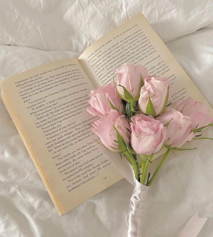 loelfha's tweet image. ࣪ ִֶָ  𖧧 . livros lidos em 2025.  ࣪ ˖
                                — a thread. 𓏲

“Eu vivi mil vidas e amei mil amores. Caminhei por mundos distantes e vi o fim dos tempos. Porque eu li.”